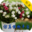 仿真植物平台安卓最新版v2.1.2下载