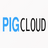 pig(权限管理系统) v2.10.0官方版