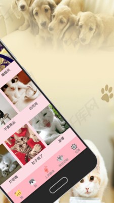 狗语猫语翻译器app下载(1)