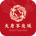 大唐不夜城文化商业步行街 安卓版v1.0.4