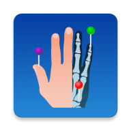 Anatomy软件下载-e-Anatomy appv4.11.0 最新版