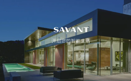 Savant Prov9.3.2 最新版