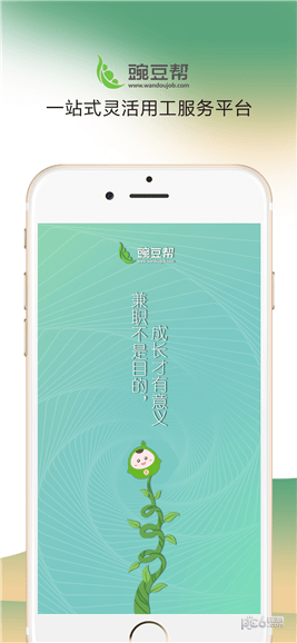 豌豆帮app下载