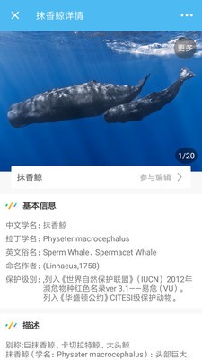 海洋奇迹APP下载