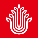 乐椿轩 安卓版v2.0.0