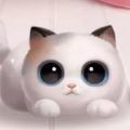 超级星秀猫 安卓版v1.0.0