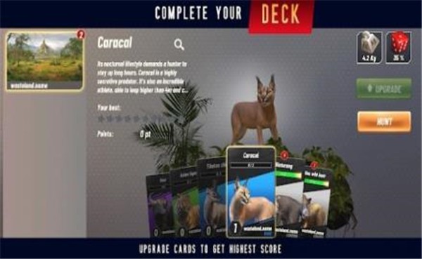 Animal Clash 安卓版v1.4(1)