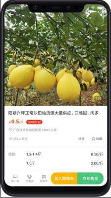 桃源明app下载