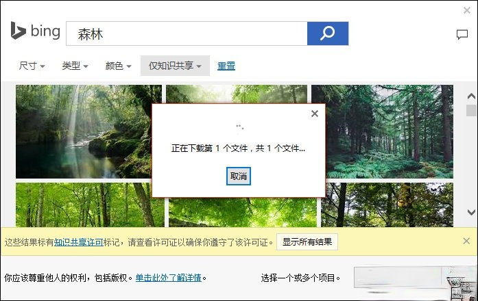 PPT背景图片怎么插入？PPT背景图片设置方法(7)
