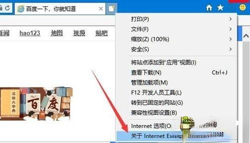 IE浏览器的版本号是多少？Win10系统查看ie浏览器版本号的方法－(2)