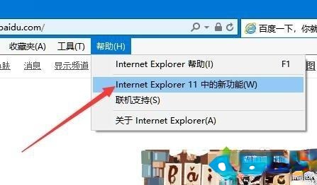 IE浏览器的版本号是多少？Win10系统查看ie浏览器版本号的方法－(5)