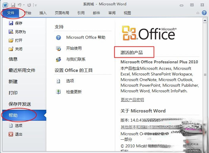 project2010密钥|project2010产品密钥|project 2010电话激活码－(2)