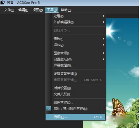【acdsee 5.0 简体中文版】acdsee5.0