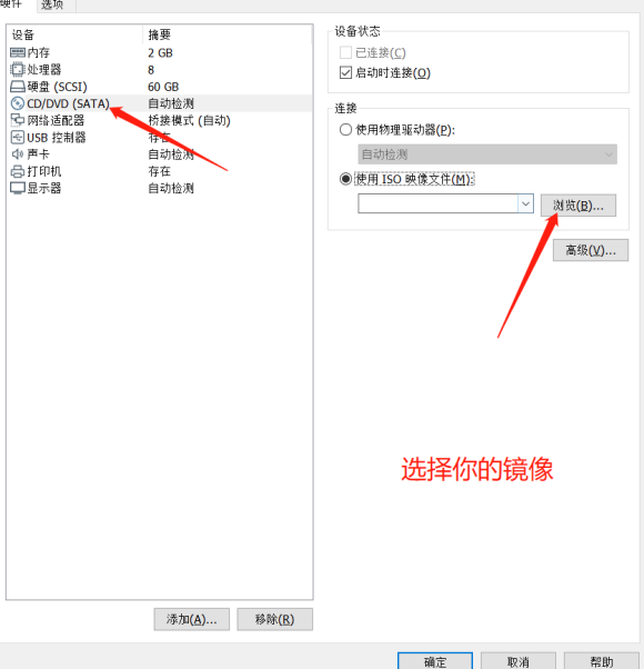 Windows11 64位专业精简版 V2021.07(10)