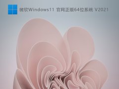 微软Windows11官网正版64位系统 V2021