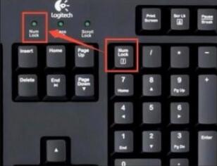 电脑键盘打不出字怎么办