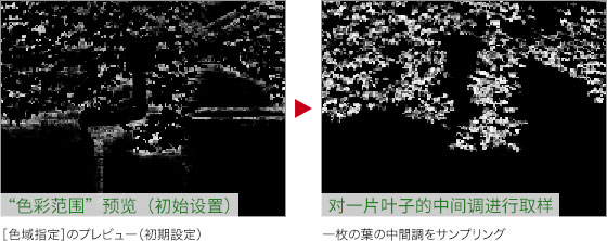 ps怎么把绿叶变红叶(5)