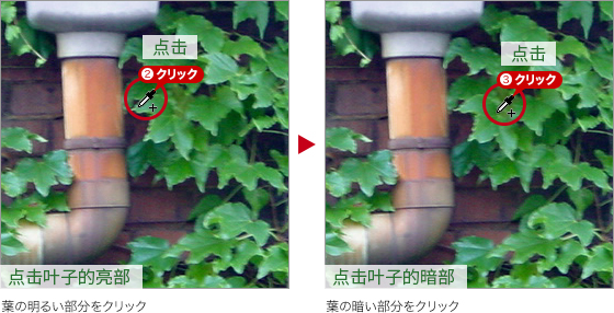 ps怎么把绿叶变红叶(7)