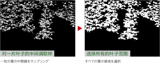 ps怎么把绿叶变红叶(8)