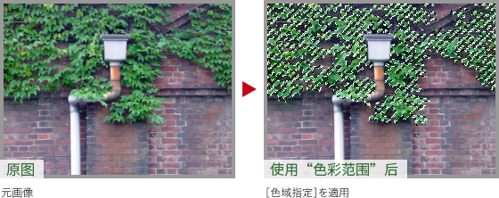 ps怎么把绿叶变红叶(11)
