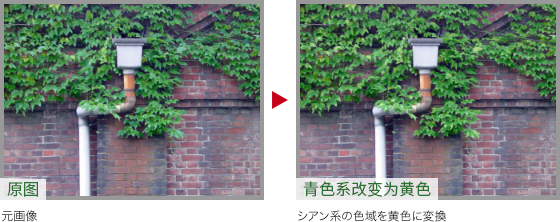 ps怎么把绿叶变红叶(14)