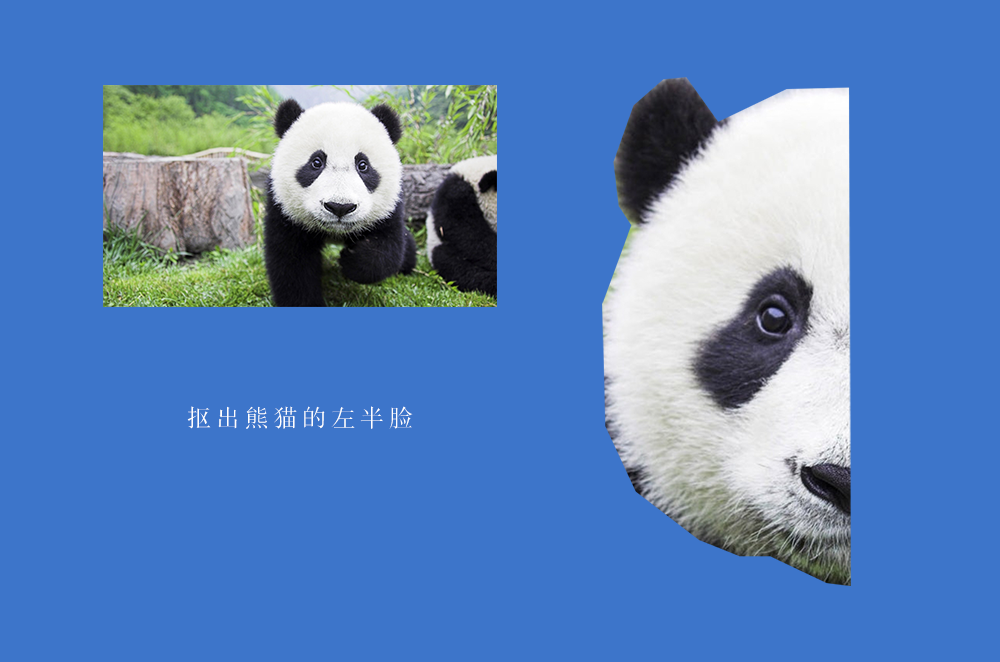 低多边形熊猫头像ps