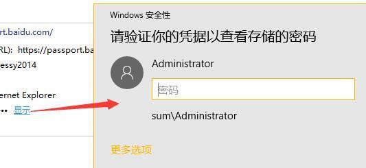 win10浏览器怎么看密码(4)