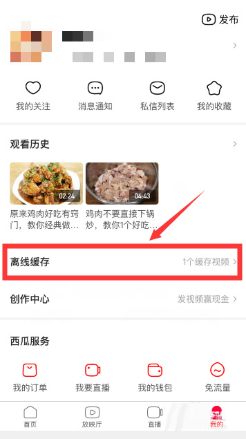 怎么下载西瓜视频里的视频到本地(3)