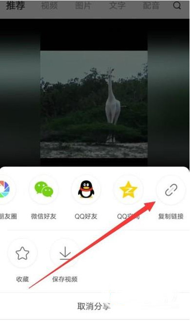 皮皮虾如何去水印