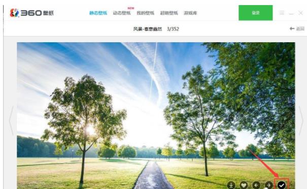 小鸟壁纸怎么设置静态壁纸(1)
