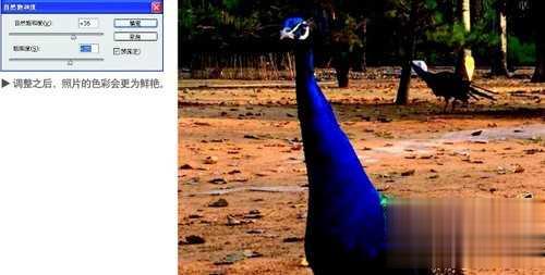 怎样用photoshop调整图片清晰度(10)