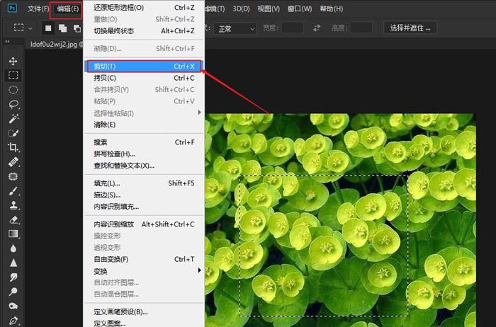 ps怎么复制粘贴图片部分内容(2)