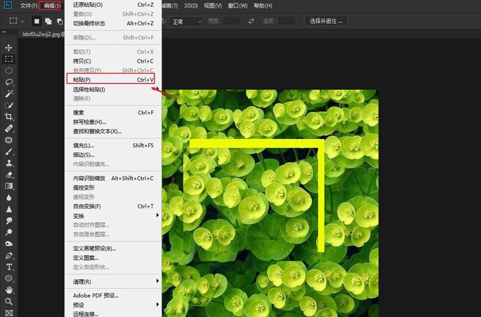 ps怎么复制粘贴图片部分内容(4)