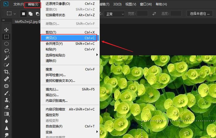 ps怎么复制粘贴图片部分内容(6)