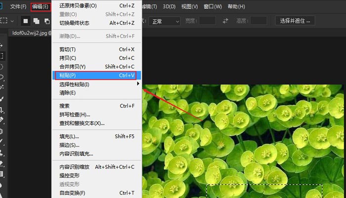 ps怎么复制粘贴图片部分内容(7)