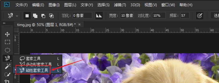 ps怎样让背景模糊(3)