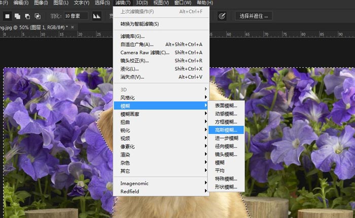 ps怎样让背景模糊(7)