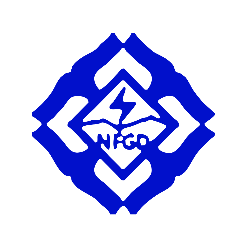 中国光大电网