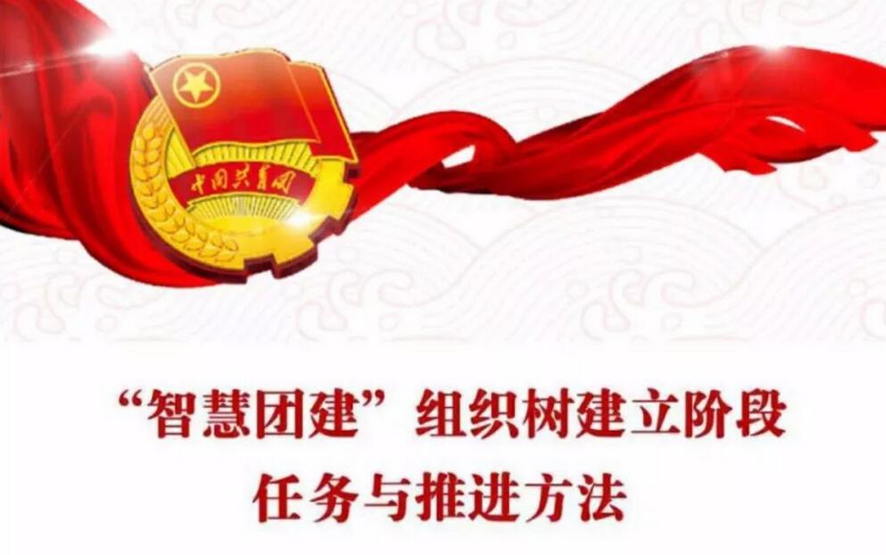手机上看不到智慧团建完整界面(3)