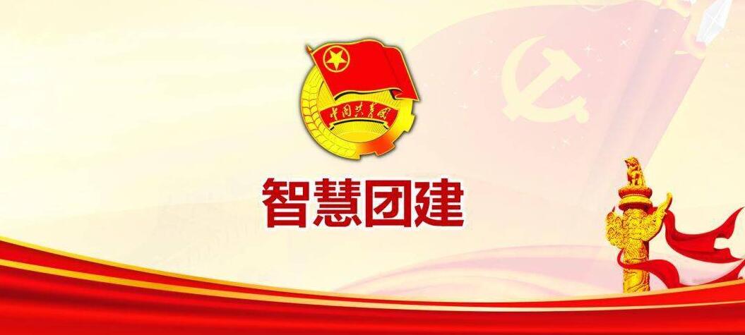 手机上看不到智慧团建完整界面(2)