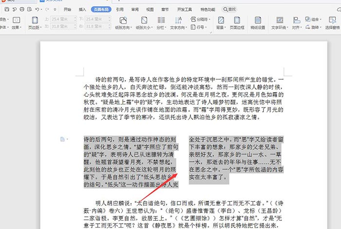 wps2019如何设置分栏(5)