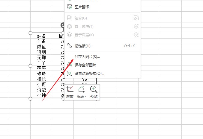 WPS怎么截整个表格(5)