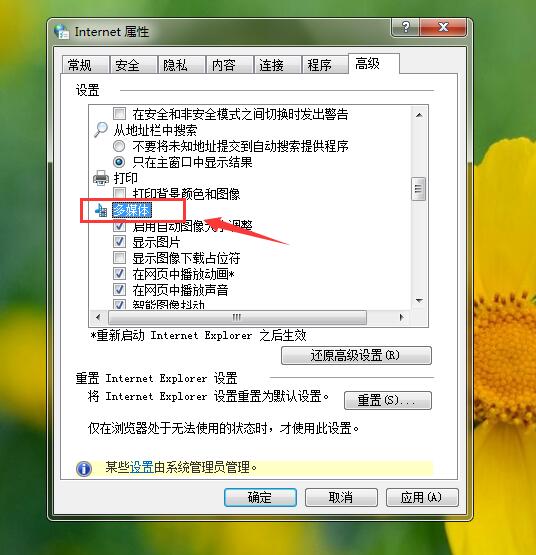 浏览器出现无法加载插件(1)