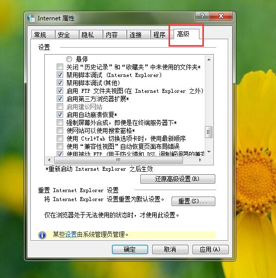 浏览器出现无法加载插件