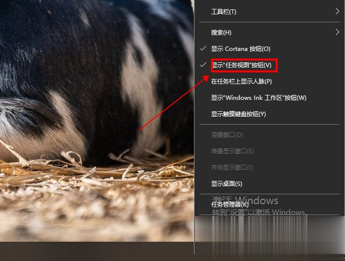 win10任务视图快捷键是什么 打开win10任务视图的方法(1)