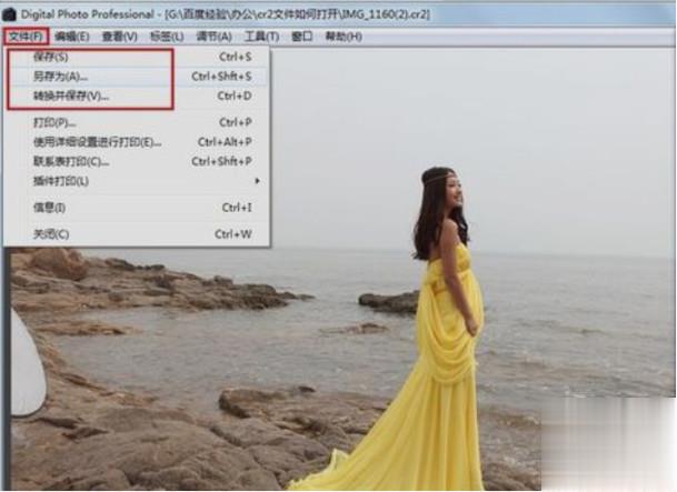 cr2文件怎么打开(2)