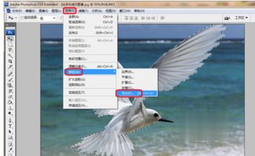 ps中如何使用快捷键放大缩小(8)