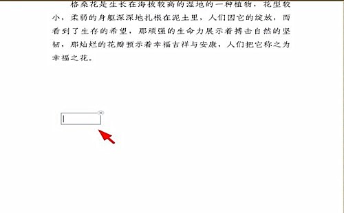 金山pdf如何添加文字(3)