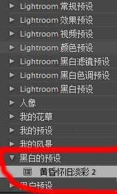 lr如何导入预设(4)