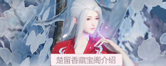 楚留香藏宝阁在哪里 楚留香藏宝阁怎么用